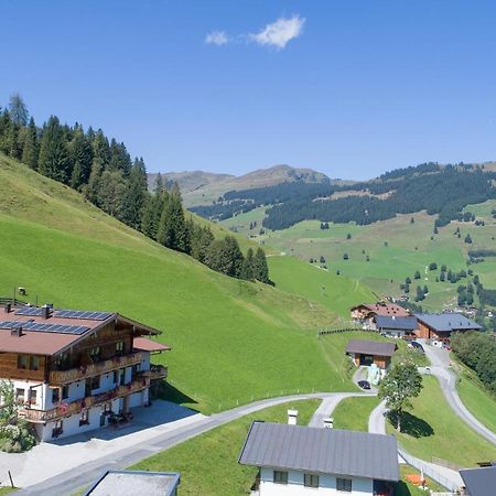 Landhaus Hinterglemm Apartment Заалбах-Хинтерглем Екстериор снимка