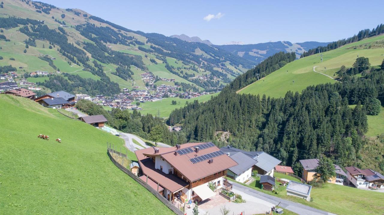 Landhaus Hinterglemm Apartment Заалбах-Хинтерглем Екстериор снимка
